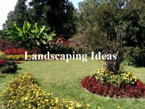 Landscape design ideas