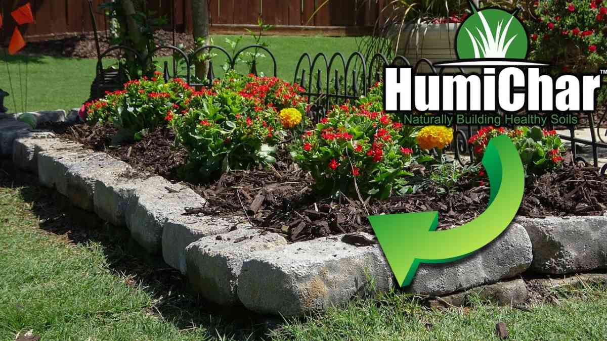 Can You Plant Flowers in Mulch