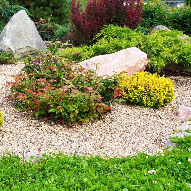 Which Is Better - Mulch Or Rock?