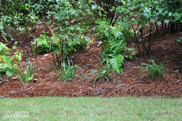 How Many Square Feet Does a Yard of Mulch Cover?