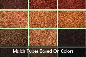 Mulch Types Based On Colors