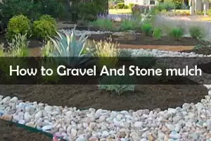 how to Gravel And Stone mulch