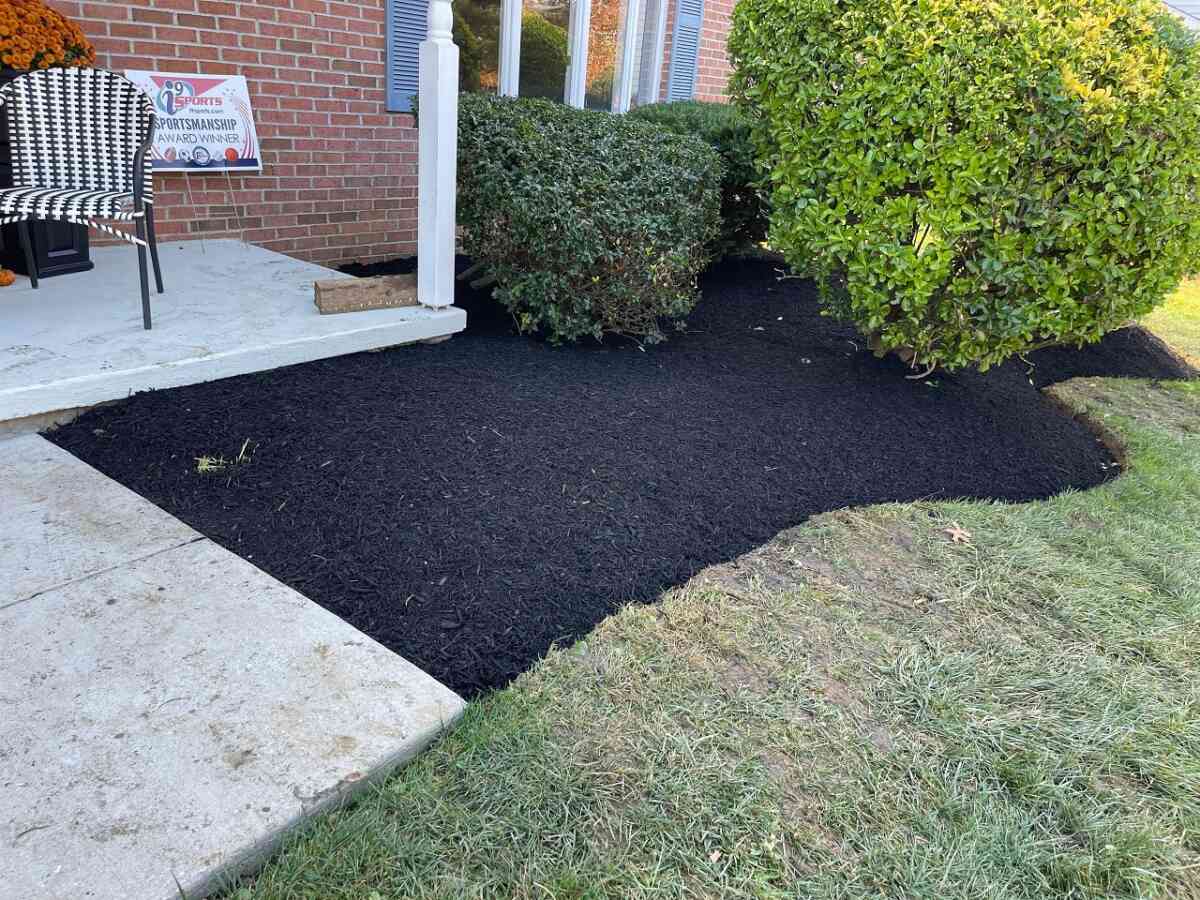 How To Apply Mulch?
