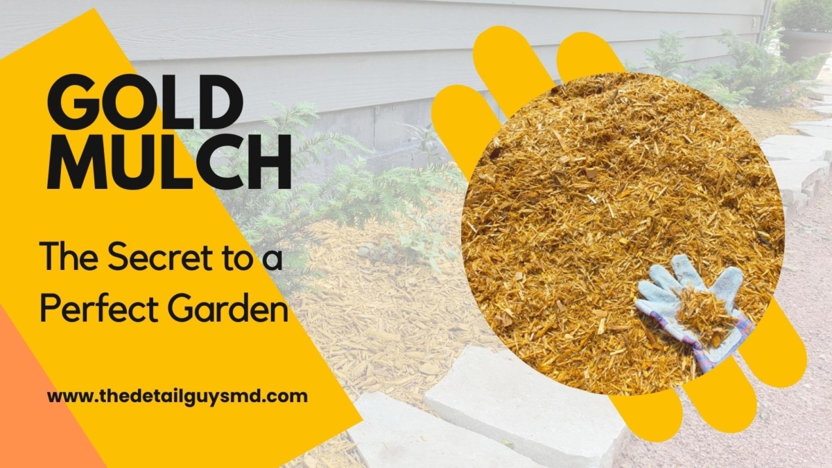 Gold Mulch The Secret to a Perfect Garden