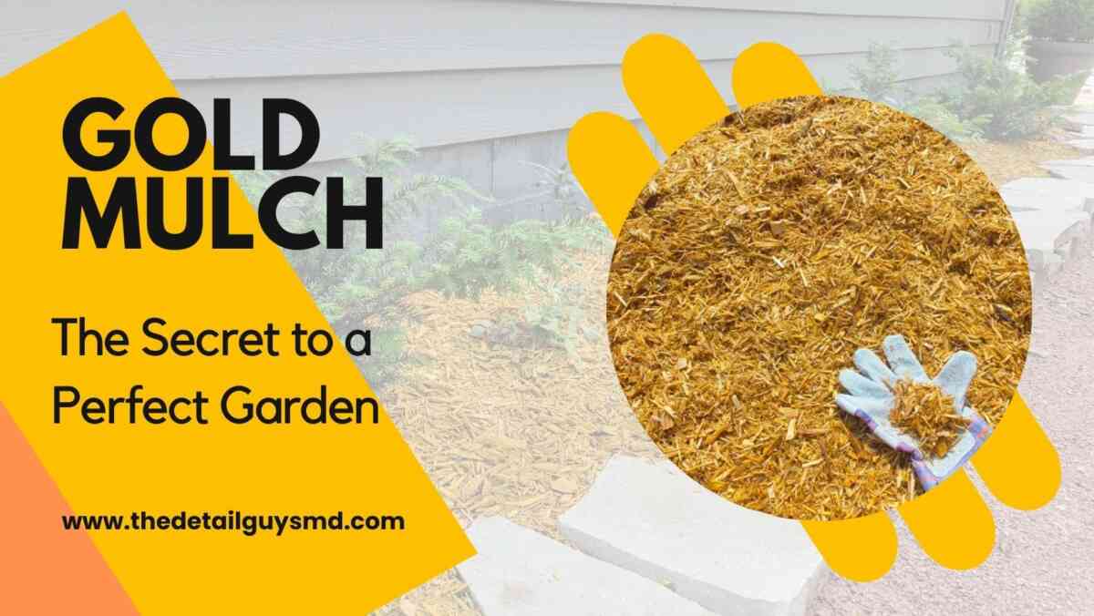 Gold Mulch The Secret to a Perfect Garden